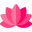 faceyoga.fr