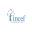 fincef.org