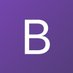 Bootstrap 1.0.*