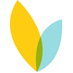 VideoBloom