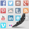 Social Media Feather for WordPress